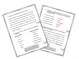 evaluation-conjugaison