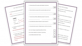 evaluation-conjugaison