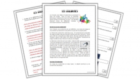 evaluation-conjugaison