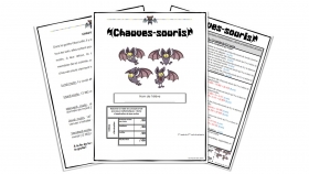 evaluation-conjugaison