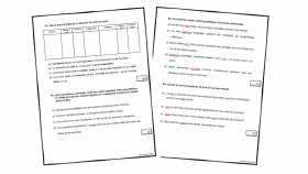 evaluation-conjugaison