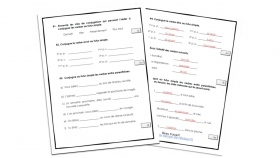 evaluation-conjugaison