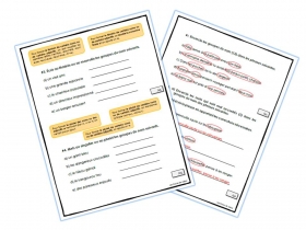 evaluation-conjugaison