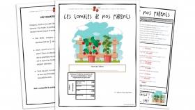 evaluation-conjugaison