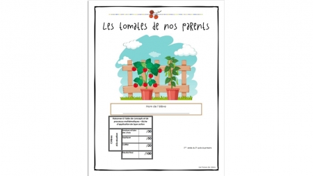 evaluation-conjugaison